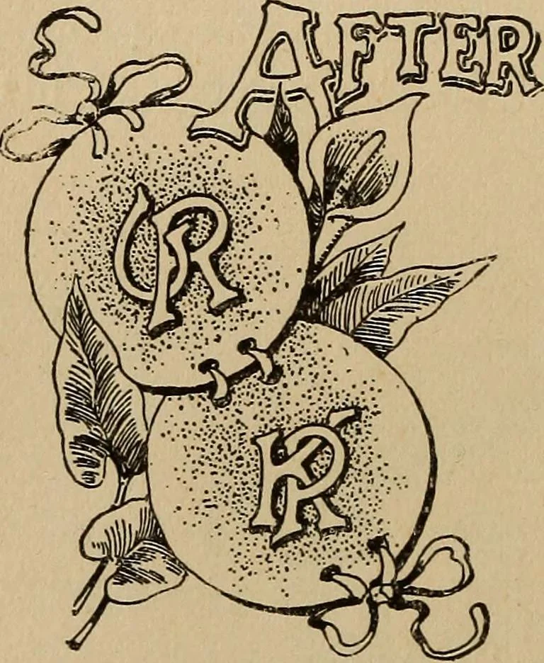 An illustration from Pythian knighthood, it history and literature;, 1888, leaf 417