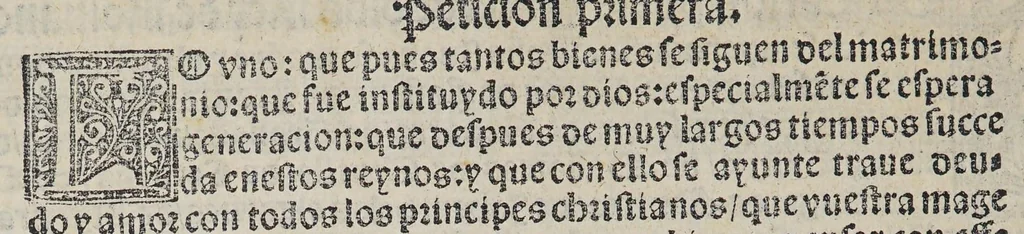 An illustration from Quaderno de las cortes: que en Ualladolid tuuo Su Magestad del emperador y rey nuestro señor el año de. 1523. años. : En el qual ay muchas leyes [y] decissiones nueuas: y aprobacion y declaracio[n] de muchas pregmaticas y leyes del reyno sin el qual ningun jurisperito: ni administrador de justicia deue estar., 1551, leaf 14