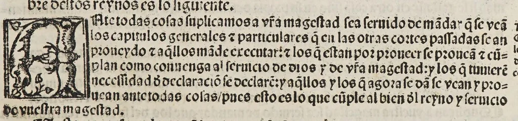 An illustration from Quaderno de las leyes y prematícas reales fechas en las Cortes que Su Magestad del emperador y rey nuestro señor mando celebrar en la noble vílla de Madríd en el año de M.D. xxviii. años: : muy prouechoso a todos en general., 1540, leaf 9