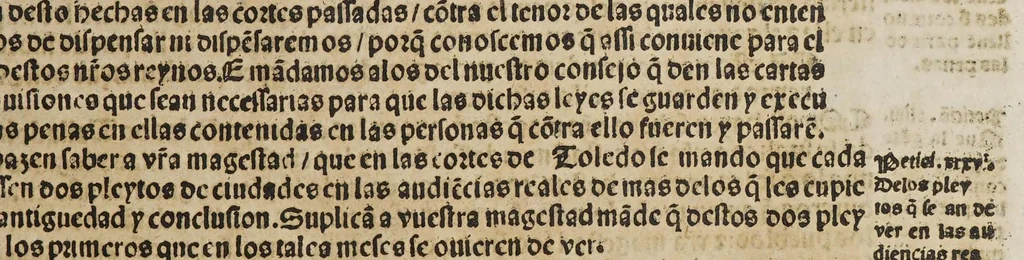 An illustration from Quaderno d[e] las leyes y prematicas reales fechas en las cortes q[ue] Su Magestad del emperador y rey nuestro señor mando celebrar en la noble villa de Madrid en el año de M.D.xxviij. años. : Muy prouechoso a todos en general, 1546, leaf 19