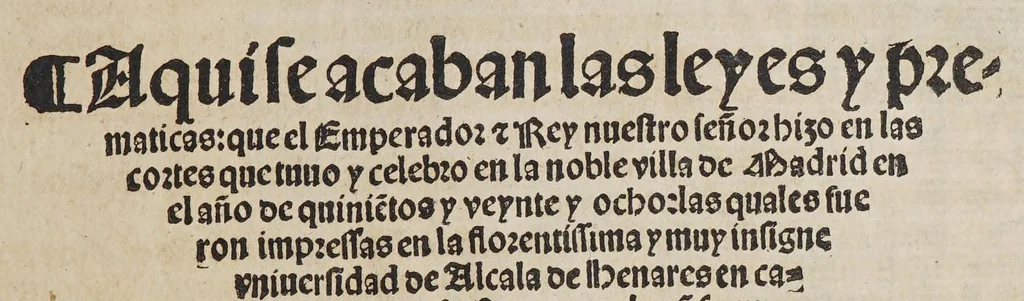 An illustration from Quaderno d[e] las leyes y prematicas reales fechas en las cortes q[ue] Su Magestad del emperador y rey nuestro señor mando celebrar en la noble villa de Madrid en el año de M.D.xxviij. años. : Muy prouechoso a todos en general, 1546, leaf 49