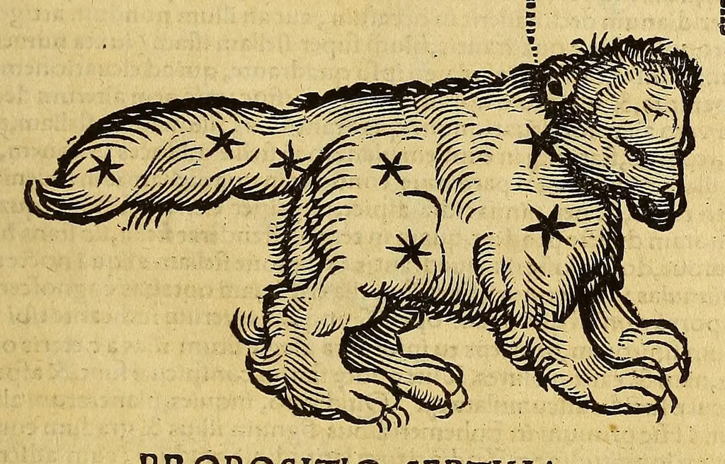 An illustration from Quadrans Apiani astronomicus et iam recens inuentus et nunc primum editus. : Huic adiuncta sunt [et] alia intrumenta obseruatoria perinde noua ., 1532, leaf 19