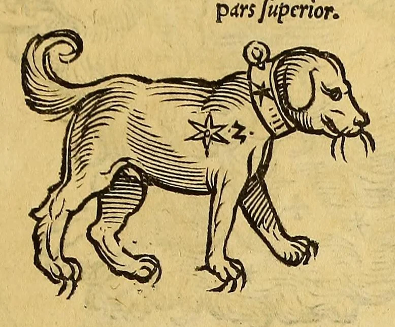 An illustration from Quadrans Apiani astronomicus et iam recens inuentus et nunc primum editus. : Huic adiuncta sunt [et] alia intrumenta obseruatoria perinde noua ., 1532, leaf 21