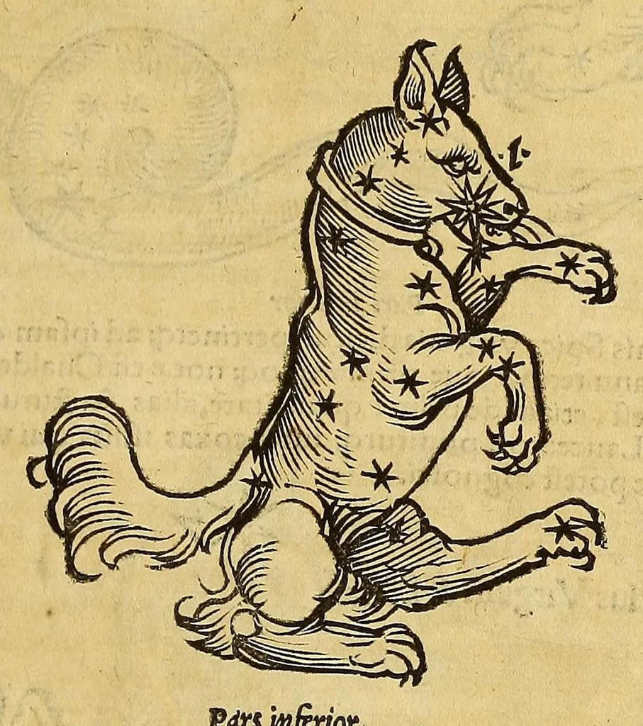 An illustration from Quadrans Apiani astronomicus et iam recens inuentus et nunc primum editus. : Huic adiuncta sunt [et] alia intrumenta obseruatoria perinde noua ., 1532, leaf 21