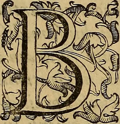 An illustration from Quaestiones definitae ex triplici philosophia : rationali, naturali, morali : in Parmensi Academia publicè triduum disputae, 1613, leaf 10