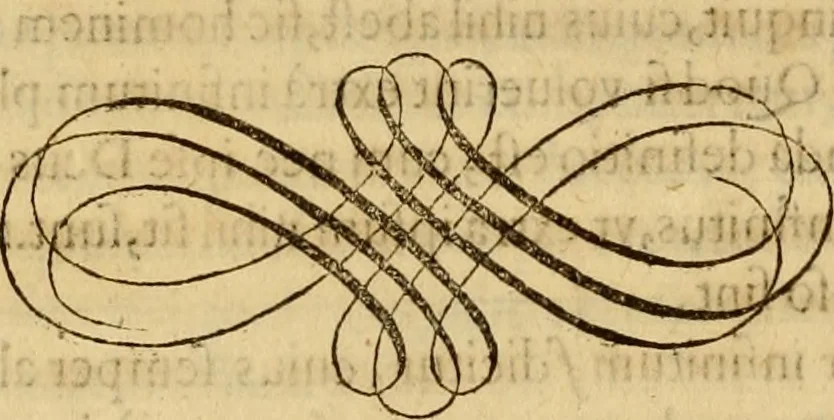 An illustration from Quaestiones definitae ex triplici philosophia : rationali, naturali, morali : in Parmensi Academia publicè triduum disputae, 1613, leaf 101