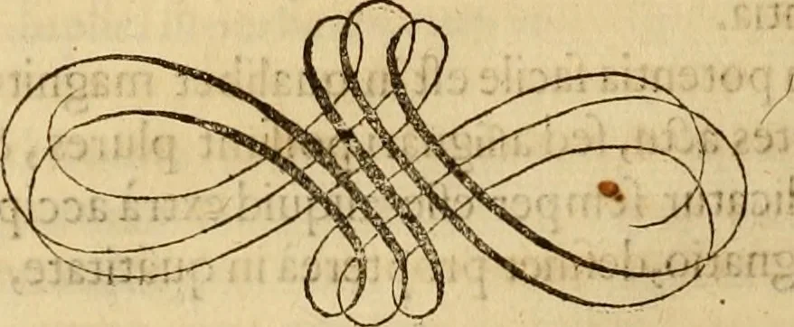 An illustration from Quaestiones definitae ex triplici philosophia : rationali, naturali, morali : in Parmensi Academia publicè triduum disputae, 1613, leaf 101