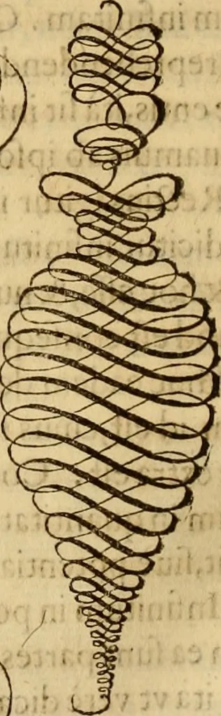 An illustration from Quaestiones definitae ex triplici philosophia : rationali, naturali, morali : in Parmensi Academia publicè triduum disputae, 1613, leaf 101