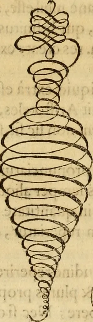 An illustration from Quaestiones definitae ex triplici philosophia : rationali, naturali, morali : in Parmensi Academia publicè triduum disputae, 1613, leaf 101
