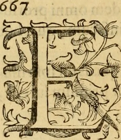 An illustration from Quaestiones definitae ex triplici philosophia : rationali, naturali, morali : in Parmensi Academia publicè triduum disputae, 1613, leaf 115