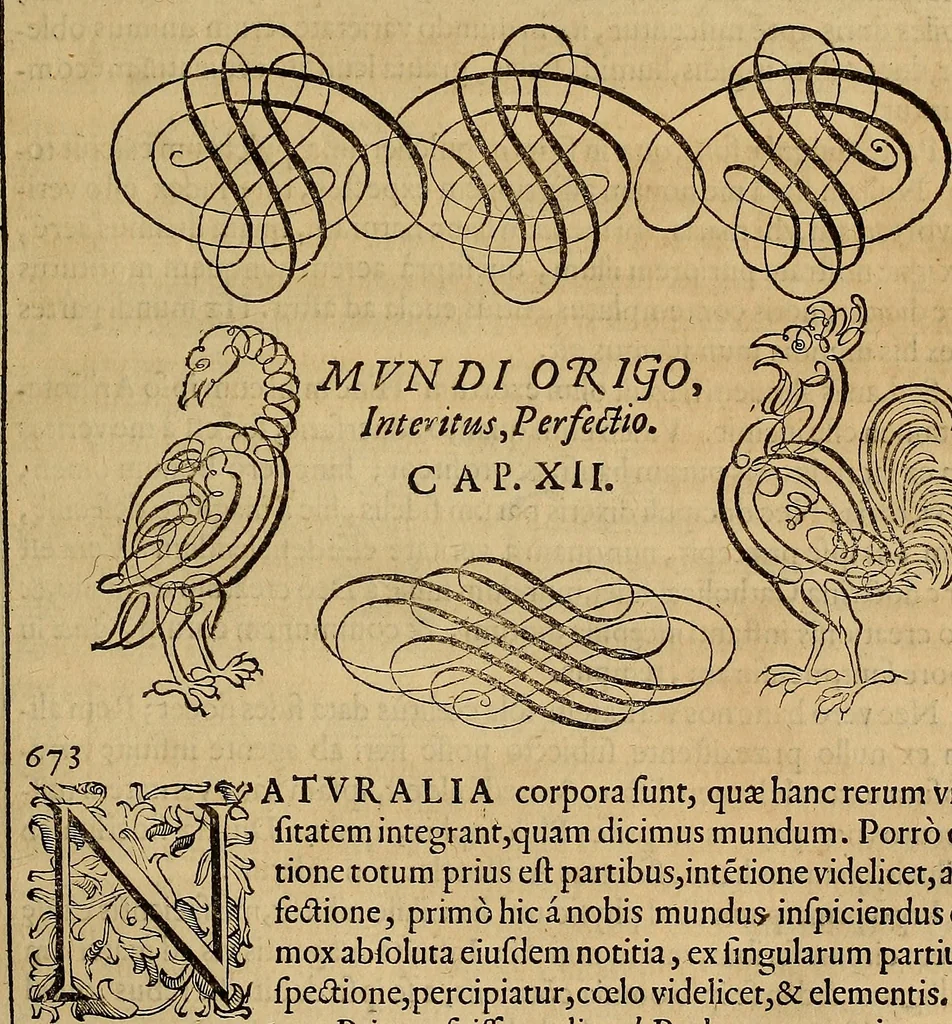 An illustration from Quaestiones definitae ex triplici philosophia : rationali, naturali, morali : in Parmensi Academia publicè triduum disputae, 1613, leaf 116