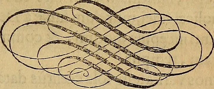 An illustration from Quaestiones definitae ex triplici philosophia : rationali, naturali, morali : in Parmensi Academia publicè triduum disputae, 1613, leaf 116