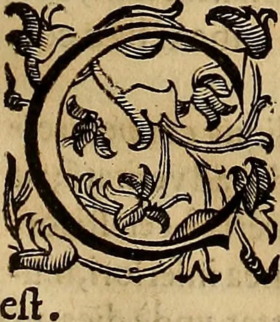 An illustration from Quaestiones definitae ex triplici philosophia : rationali, naturali, morali : in Parmensi Academia publicè triduum disputae, 1613, leaf 124