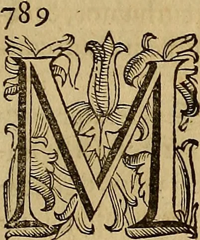 An illustration from Quaestiones definitae ex triplici philosophia : rationali, naturali, morali : in Parmensi Academia publicè triduum disputae, 1613, leaf 132