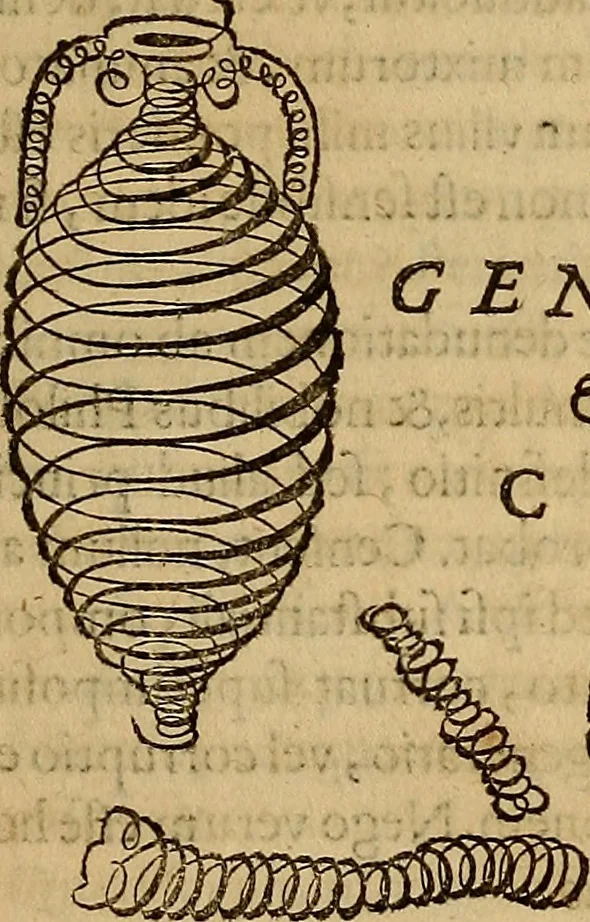 An illustration from Quaestiones definitae ex triplici philosophia : rationali, naturali, morali : in Parmensi Academia publicè triduum disputae, 1613, leaf 146