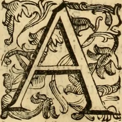 An illustration from Quaestiones definitae ex triplici philosophia : rationali, naturali, morali : in Parmensi Academia publicè triduum disputae, 1613, leaf 149