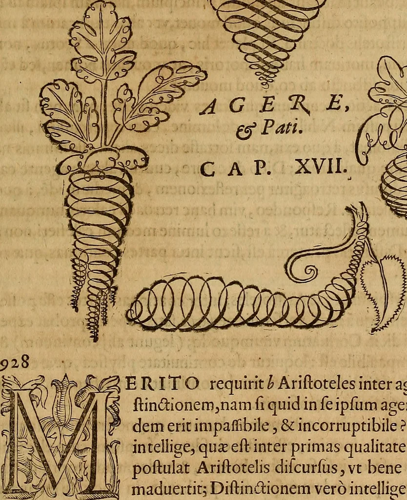 An illustration from Quaestiones definitae ex triplici philosophia : rationali, naturali, morali : in Parmensi Academia publicè triduum disputae, 1613, leaf 152