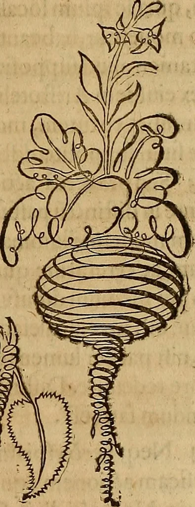 An illustration from Quaestiones definitae ex triplici philosophia : rationali, naturali, morali : in Parmensi Academia publicè triduum disputae, 1613, leaf 152