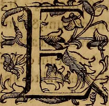 An illustration from Quaestiones definitae ex triplici philosophia : rationali, naturali, morali : in Parmensi Academia publicè triduum disputae, 1613, leaf 166