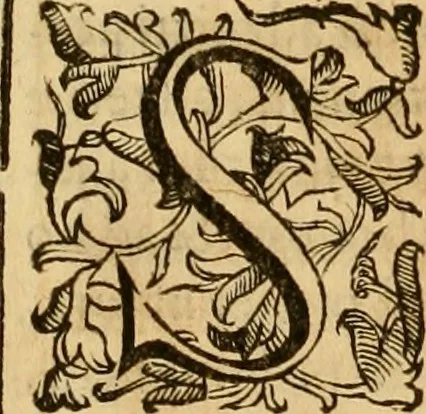 An illustration from Quaestiones definitae ex triplici philosophia : rationali, naturali, morali : in Parmensi Academia publicè triduum disputae, 1613, leaf 169