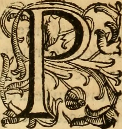 An illustration from Quaestiones definitae ex triplici philosophia : rationali, naturali, morali : in Parmensi Academia publicè triduum disputae, 1613, leaf 171