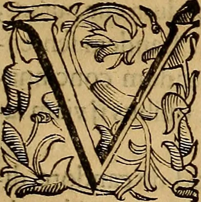 An illustration from Quaestiones definitae ex triplici philosophia : rationali, naturali, morali : in Parmensi Academia publicè triduum disputae, 1613, leaf 174