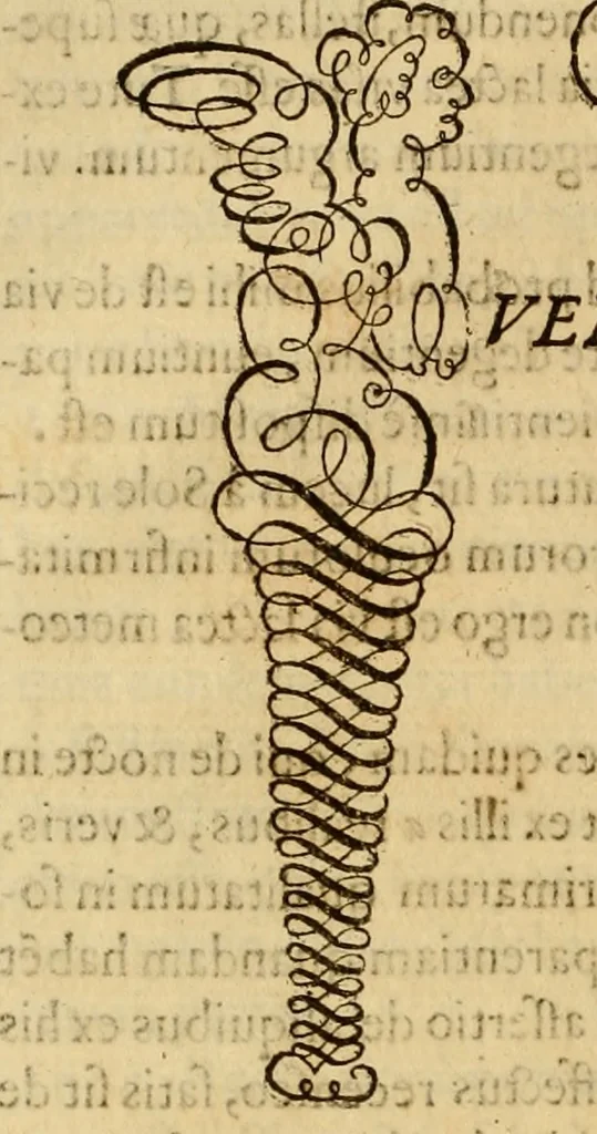 An illustration from Quaestiones definitae ex triplici philosophia : rationali, naturali, morali : in Parmensi Academia publicè triduum disputae, 1613, leaf 177