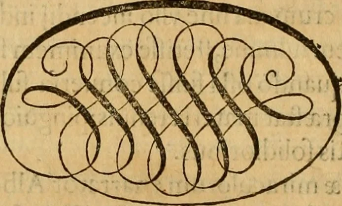 An illustration from Quaestiones definitae ex triplici philosophia : rationali, naturali, morali : in Parmensi Academia publicè triduum disputae, 1613, leaf 189