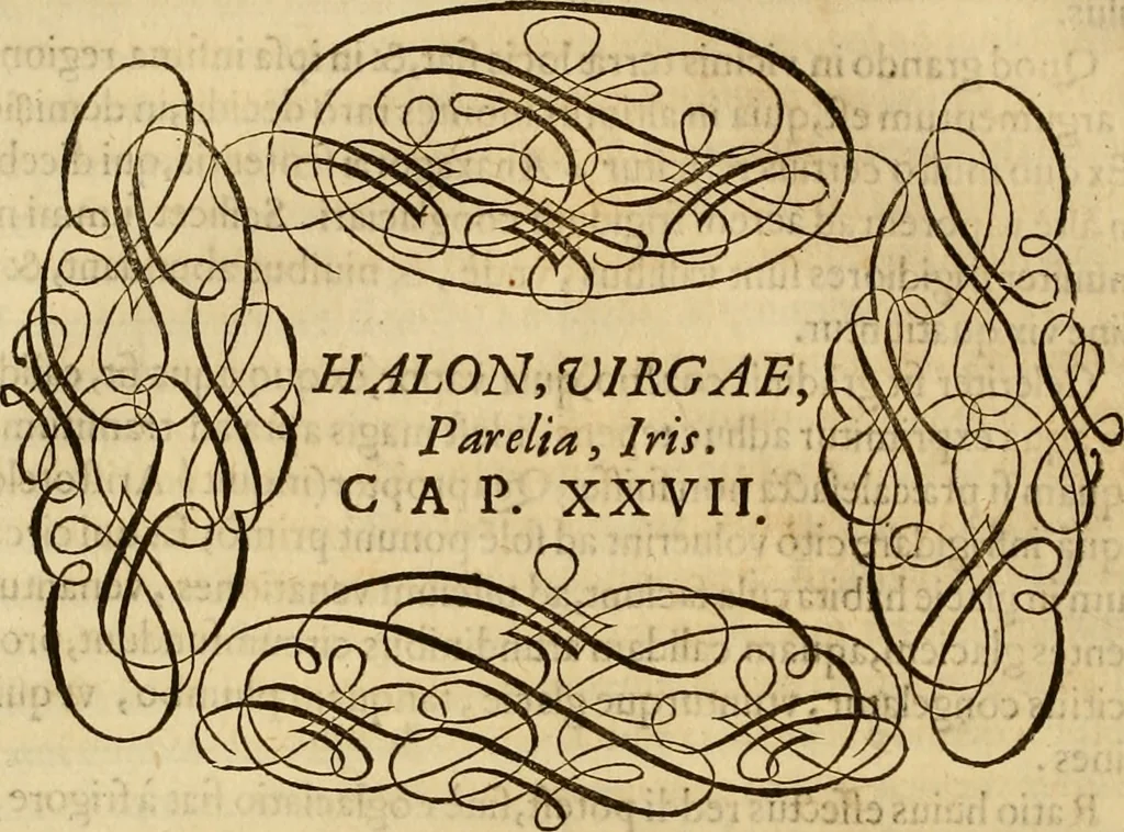 An illustration from Quaestiones definitae ex triplici philosophia : rationali, naturali, morali : in Parmensi Academia publicè triduum disputae, 1613, leaf 193