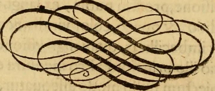An illustration from Quaestiones definitae ex triplici philosophia : rationali, naturali, morali : in Parmensi Academia publicè triduum disputae, 1613, leaf 197