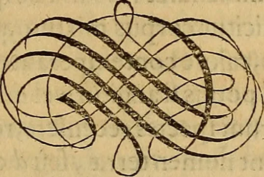 An illustration from Quaestiones definitae ex triplici philosophia : rationali, naturali, morali : in Parmensi Academia publicè triduum disputae, 1613, leaf 214