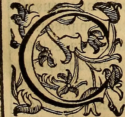An illustration from Quaestiones definitae ex triplici philosophia : rationali, naturali, morali : in Parmensi Academia publicè triduum disputae, 1613, leaf 214