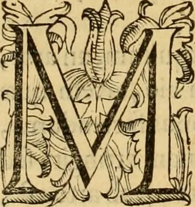 An illustration from Quaestiones definitae ex triplici philosophia : rationali, naturali, morali : in Parmensi Academia publicè triduum disputae, 1613, leaf 217