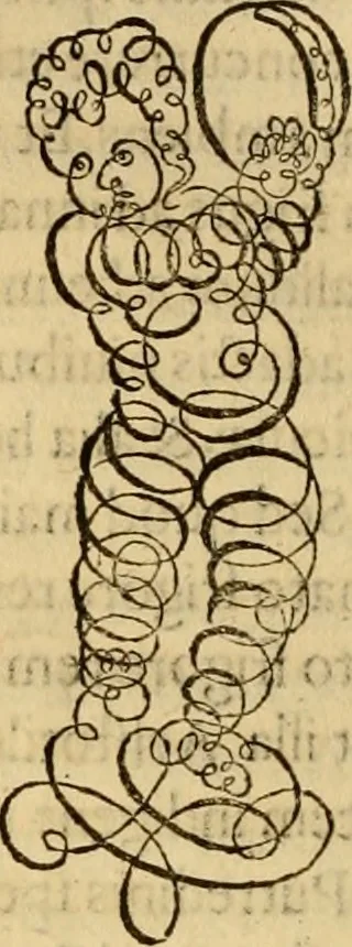 An illustration from Quaestiones definitae ex triplici philosophia : rationali, naturali, morali : in Parmensi Academia publicè triduum disputae, 1613, leaf 225