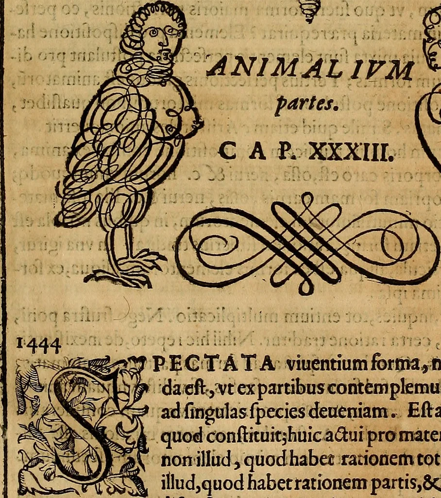 An illustration from Quaestiones definitae ex triplici philosophia : rationali, naturali, morali : in Parmensi Academia publicè triduum disputae, 1613, leaf 232