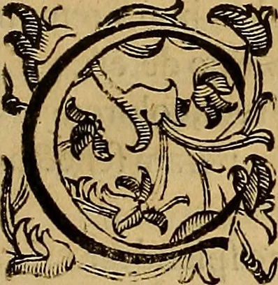 An illustration from Quaestiones definitae ex triplici philosophia : rationali, naturali, morali : in Parmensi Academia publicè triduum disputae, 1613, leaf 242