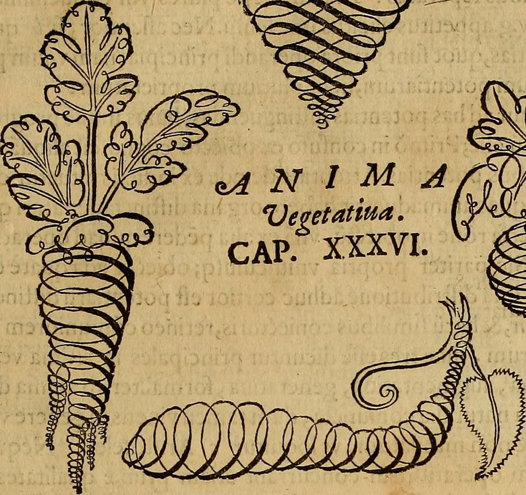 An illustration from Quaestiones definitae ex triplici philosophia : rationali, naturali, morali : in Parmensi Academia publicè triduum disputae, 1613, leaf 250