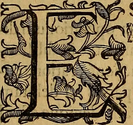 An illustration from Quaestiones definitae ex triplici philosophia : rationali, naturali, morali : in Parmensi Academia publicè triduum disputae, 1613, leaf 250