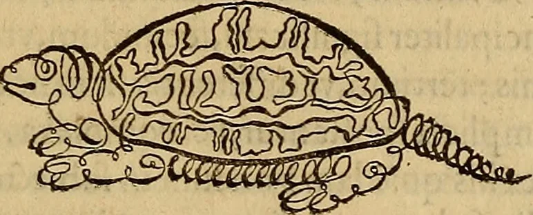 An illustration from Quaestiones definitae ex triplici philosophia : rationali, naturali, morali : in Parmensi Academia publicè triduum disputae, 1613, leaf 26