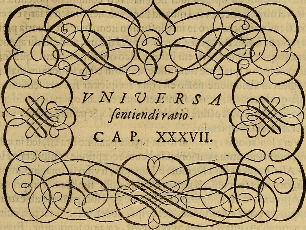 An illustration from Quaestiones definitae ex triplici philosophia : rationali, naturali, morali : in Parmensi Academia publicè triduum disputae, 1613, leaf 266