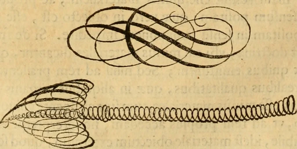 An illustration from Quaestiones definitae ex triplici philosophia : rationali, naturali, morali : in Parmensi Academia publicè triduum disputae, 1613, leaf 271