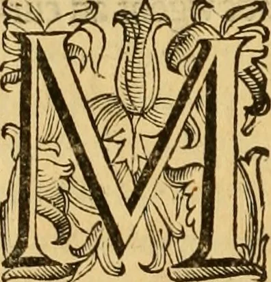 An illustration from Quaestiones definitae ex triplici philosophia : rationali, naturali, morali : in Parmensi Academia publicè triduum disputae, 1613, leaf 283