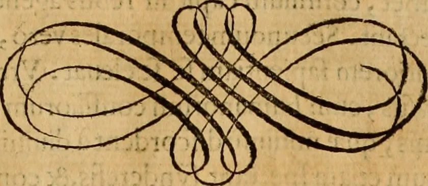An illustration from Quaestiones definitae ex triplici philosophia : rationali, naturali, morali : in Parmensi Academia publicè triduum disputae, 1613, leaf 295