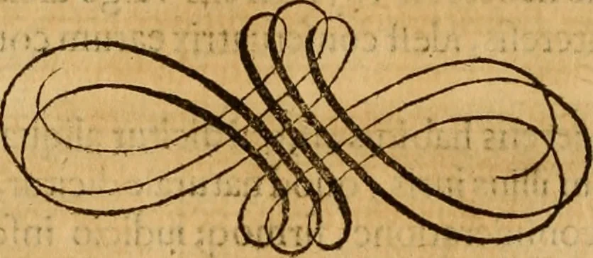 An illustration from Quaestiones definitae ex triplici philosophia : rationali, naturali, morali : in Parmensi Academia publicè triduum disputae, 1613, leaf 295