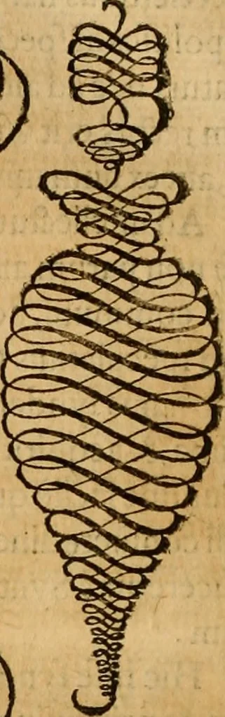 An illustration from Quaestiones definitae ex triplici philosophia : rationali, naturali, morali : in Parmensi Academia publicè triduum disputae, 1613, leaf 295