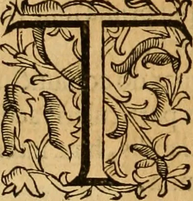 An illustration from Quaestiones definitae ex triplici philosophia : rationali, naturali, morali : in Parmensi Academia publicè triduum disputae, 1613, leaf 295