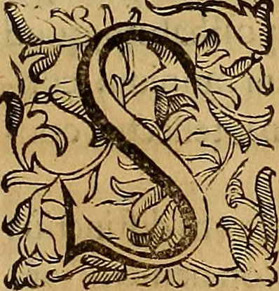 An illustration from Quaestiones definitae ex triplici philosophia : rationali, naturali, morali : in Parmensi Academia publicè triduum disputae, 1613, leaf 312