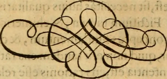 An illustration from Quaestiones definitae ex triplici philosophia : rationali, naturali, morali : in Parmensi Academia publicè triduum disputae, 1613, leaf 315
