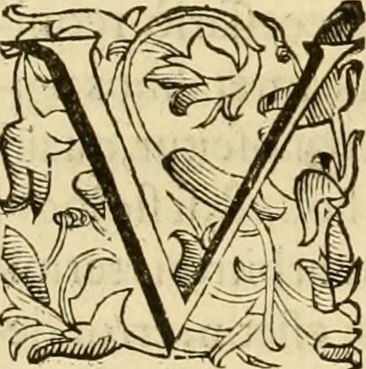 An illustration from Quaestiones definitae ex triplici philosophia : rationali, naturali, morali : in Parmensi Academia publicè triduum disputae, 1613, leaf 325