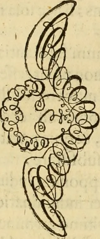 An illustration from Quaestiones definitae ex triplici philosophia : rationali, naturali, morali : in Parmensi Academia publicè triduum disputae, 1613, leaf 329
